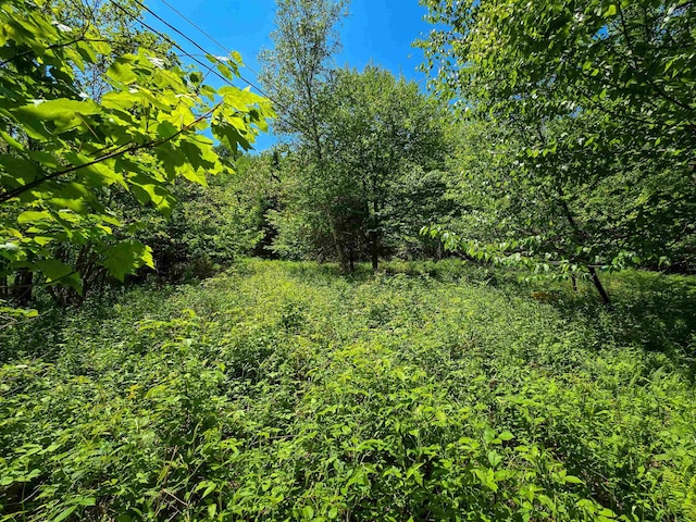 150 Spur Rd, Bloomfield, VT 05905