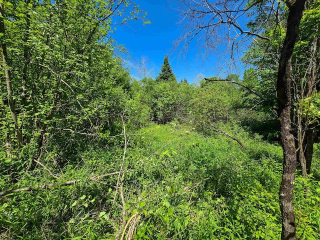 150 Spur Rd, Bloomfield, VT 05905