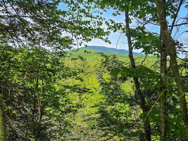 150 Spur Rd, Bloomfield, VT 05905