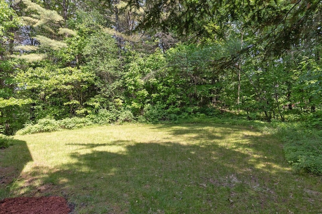 179 Arbor Ln, Colchester, VT 05446 - view of green lawn with a forest view