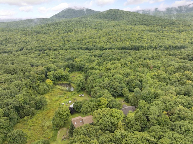 263 Old Post Rd, Newbury, NH 03255 - view of property location featuring a heavily wooded area and a mountainous background