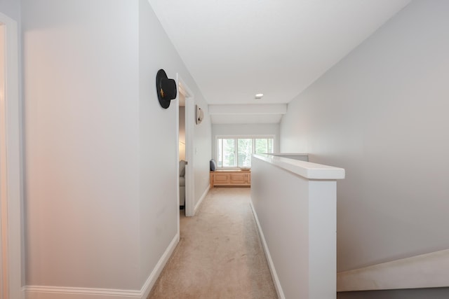 65 Victoria St Unit 8, Manchester, NH 03104 - corridor featuring an upstairs landing, baseboards, and light colored carpet
