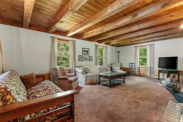 16 Mckinnon Rd, Washington, NH 03280 - living room featuring healthy amount of natural light, light colored carpet, and wooden ceiling with exposed beams