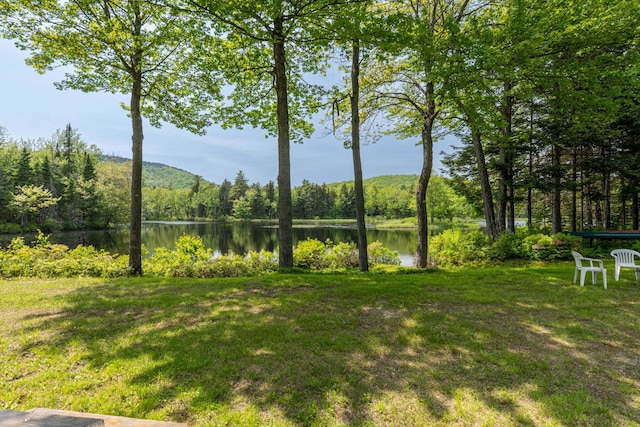 16 Mckinnon Rd, Washington, NH 03280 - view of green lawn featuring a view of trees and a water view