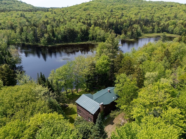 16 Mckinnon Rd, Washington, NH 03280 - drone / aerial view of a forest and a nearby body of water