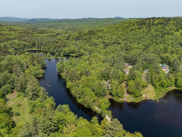 16 Mckinnon Rd, Washington, NH 03280 - aerial view of property's location with a heavily wooded area and a nearby body of water