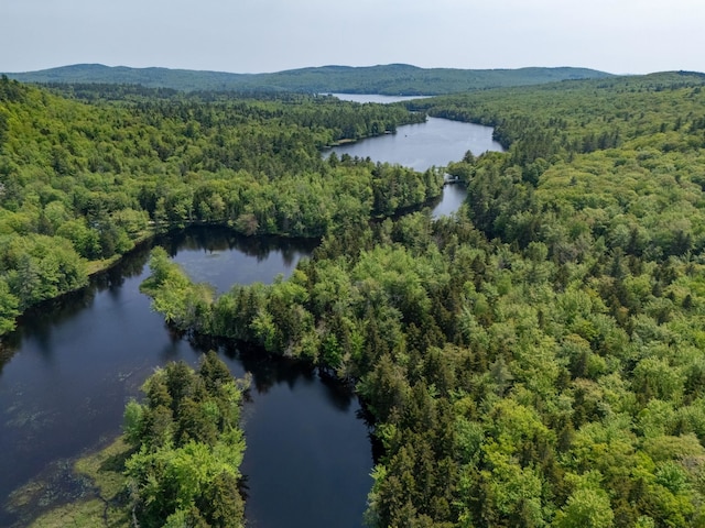 16 Mckinnon Rd, Washington, NH 03280 - aerial view of a heavily wooded area and a water and mountain view