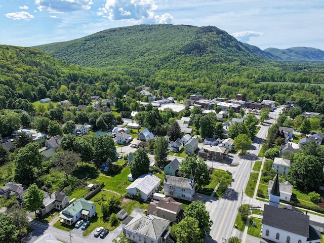 38 N St, Bristol, VT 05443