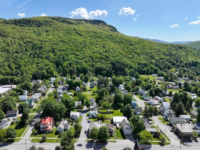 38 N St, Bristol, VT 05443