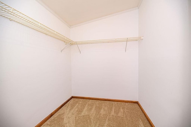 19/22 River St, Seabrook, NH 03874 - spacious closet featuring carpet floors
