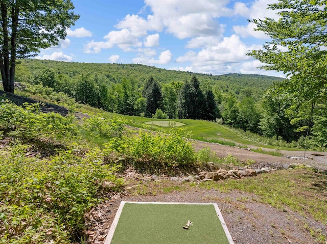 151 Brock Hill Rd, Bridgewater, NH 03222 - view of yard with a view of trees