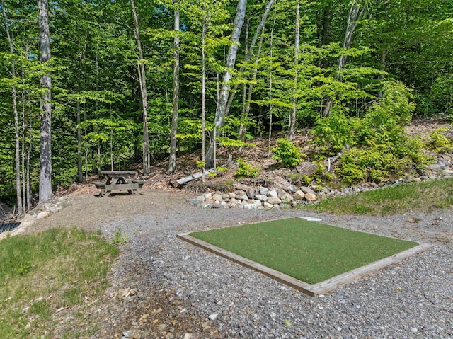 151 Brock Hill Rd, Bridgewater, NH 03222 - view of yard