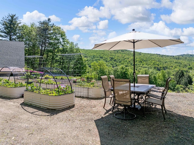 151 Brock Hill Rd, Bridgewater, NH 03222 - view of patio / terrace featuring a vegetable garden, a view of trees, and outdoor dining area