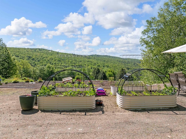 151 Brock Hill Rd, Bridgewater, NH 03222 - view of home's community with a vegetable garden and a wooded view
