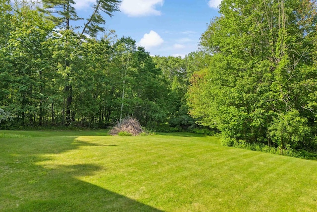 12 Old Fort Ln, Dunbarton, NH 03046 - view of grassy yard featuring a wooded view