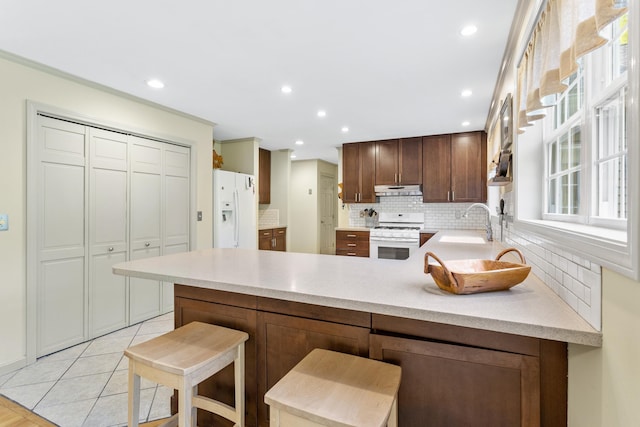 12 Old Fort Ln, Dunbarton, NH 03046 - kitchen with white appliances, under cabinet range hood, a peninsula, tasteful backsplash, and a sink