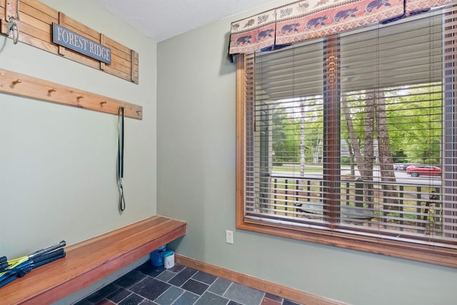 10 Mountain Brook Cir Unit 2, Lincoln, NH 03251 - mudroom featuring baseboards and plenty of natural light