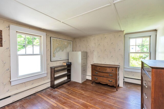 3 Foundry St, Amherst, NH 03031 - bedroom featuring a baseboard heating unit, dark wood finished floors, and multiple windows