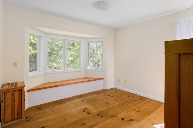 1065 Center Fayston Rd, Fayston, VT 05660 - unfurnished room featuring light wood-style floors, healthy amount of natural light, and baseboards