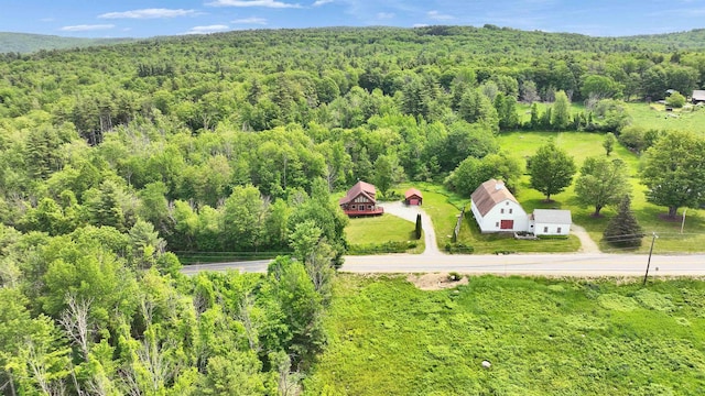 201 Deering Center Rd, Deering, NH 03244 - view of subject property with a heavily wooded area