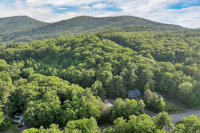6 Chalet Dr, Gilford, NH 03249 - view of mountain background with a heavily wooded area
