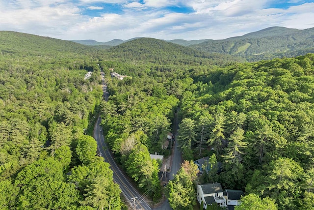 6 Chalet Dr, Gilford, NH 03249 - view of mountain backdrop with a forest
