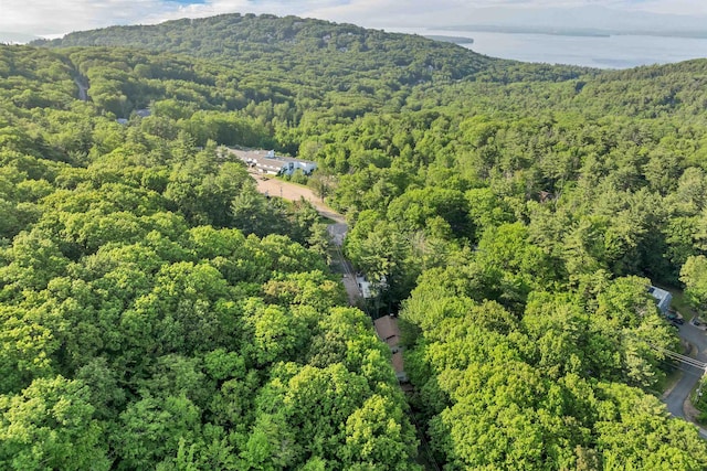 6 Chalet Dr, Gilford, NH 03249 - view of property location featuring a forest and mountains