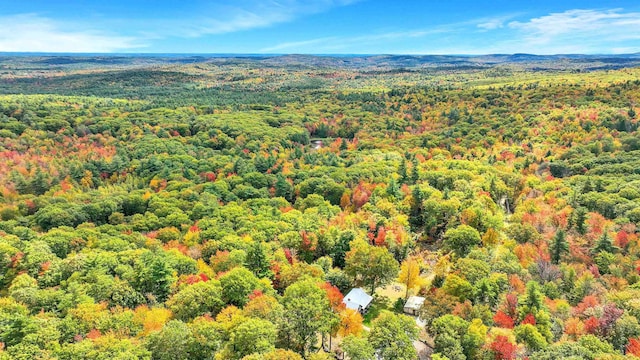 92 Brown Rd, Temple, NH 03084 - aerial view of a forest