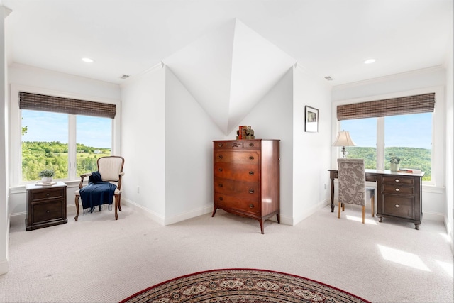64 Sterling Pl, Bow, NH 03304 - living area with carpet floors, healthy amount of natural light, baseboards, and recessed lighting