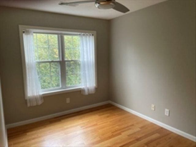 24 Bandon Cir, Westford, MA 01886 - spare room featuring light wood-style flooring, baseboards, and a ceiling fan