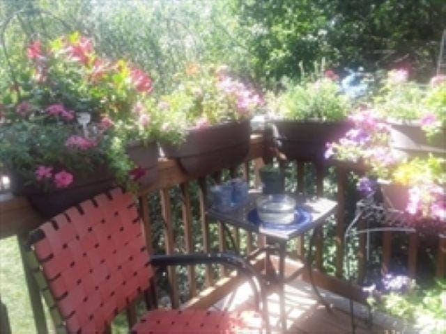 24 Bandon Cir, Westford, MA 01886 - view of balcony