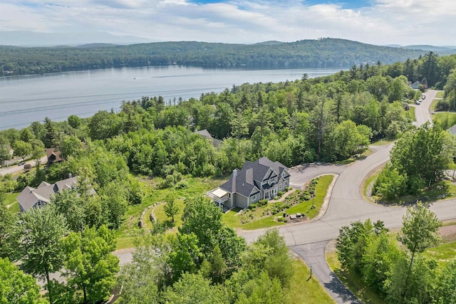 4 Mountain Ridge Dr, Meredith, NH 03253 - drone / aerial view of a forest and a nearby body of water
