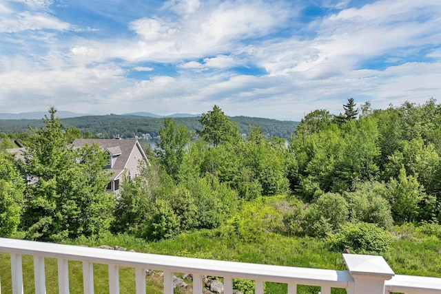 4 Mountain Ridge Dr, Meredith, NH 03253 - mountain view