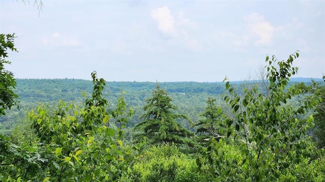 TBD176 Valley Rd, New Durham, NH 03855
