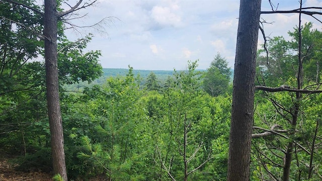 TBD176 Valley Rd, New Durham, NH 03855
