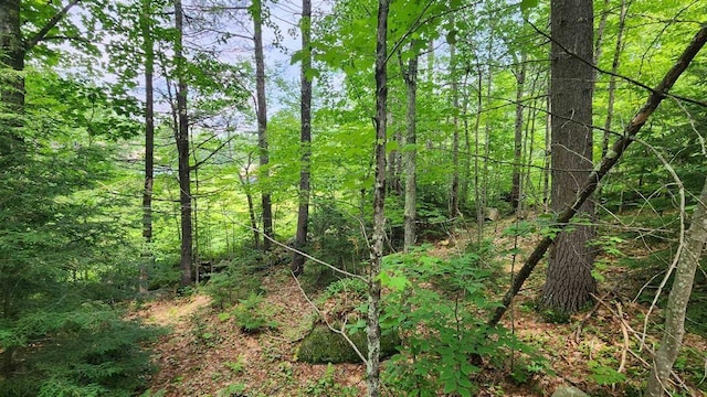 TBD176 Valley Rd, New Durham, NH 03855