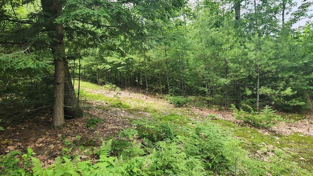 TBD176 Valley Rd, New Durham, NH 03855