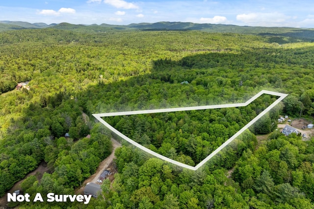 Rocky Ledge Rd, Windsor, NH 03244