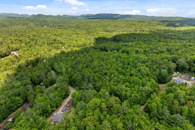 Rocky Ledge Rd, Windsor, NH 03244