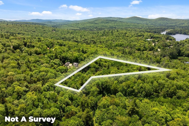 Rocky Ledge Rd, Windsor, NH 03244