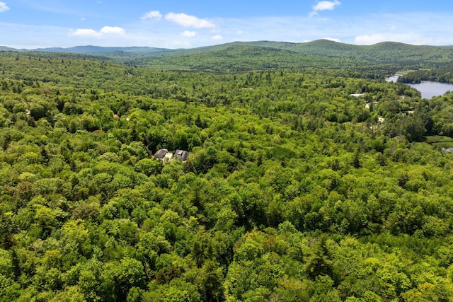 Rocky Ledge Rd, Windsor, NH 03244