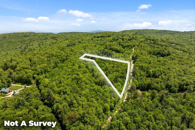 Rocky Ledge Rd, Windsor, NH 03244
