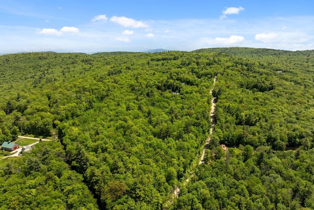 Rocky Ledge Rd, Windsor, NH 03244