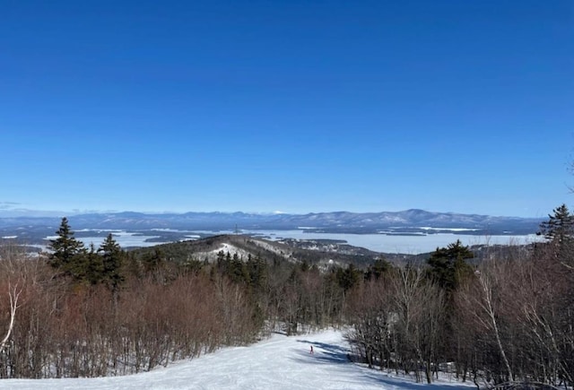 110 Heights Rd, Gilford, NH 03249 - mountain view