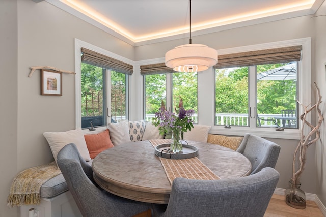 110 Heights Rd, Gilford, NH 03249 - dining room with light wood-style floors, baseboards, and a raised ceiling