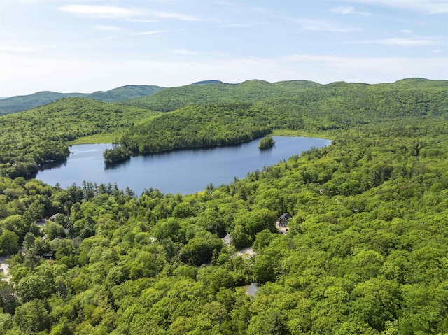 19 Wendy Dr, Alton, NH 03810 - drone / aerial view of a heavily wooded area and a water and mountain view