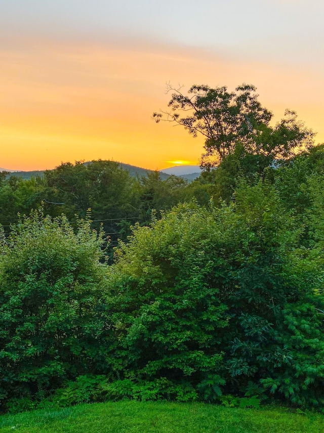 19 Wendy Dr, Alton, NH 03810 - view of mountain backdrop