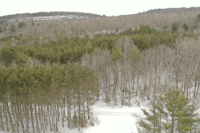 LOT5 Shore Dr, Springfield, NH 03284