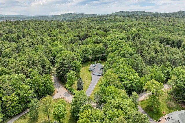 52 Meadow Ln, Belmont, NH 03220 - bird's eye view of a heavily wooded area