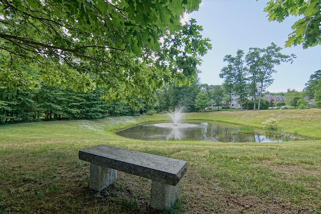 3 Sterling Hill Ln Unit 324, Exeter, NH 03833 - surrounding community with a water view and a yard